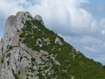 P1160686