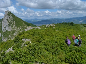 P1160687