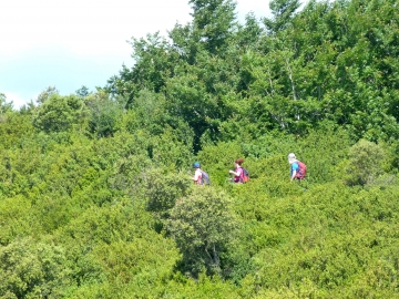 P1160690
