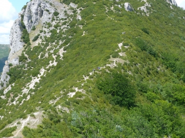 P1160691