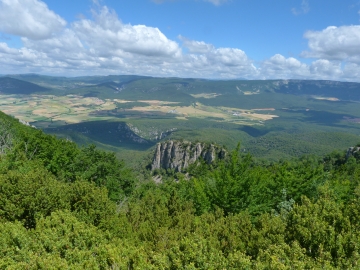 P1160697