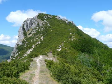 P1160698