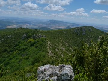 P1160702