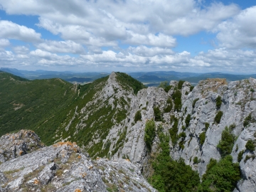 P1160703