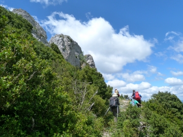 P1160722