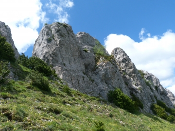 P1160724