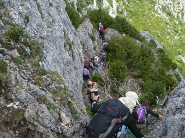 P1160727