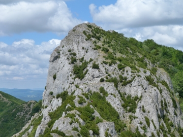 P1160729