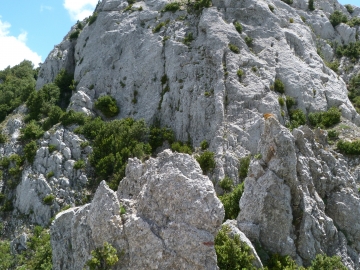 P1160735