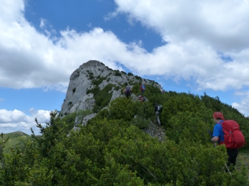 P1160738