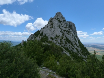 P1160739