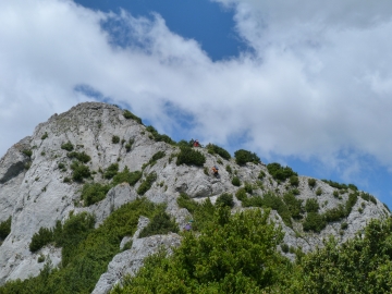P1160740