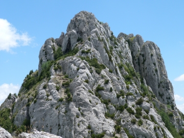 P1160743