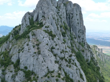 P1160746
