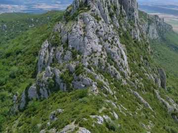 P1160751