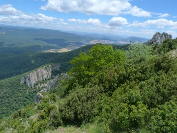 P1160756