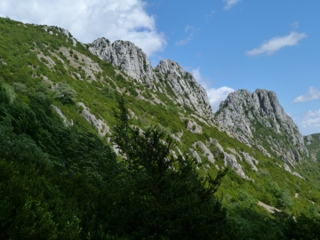 P1160764
