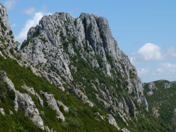 P1160767