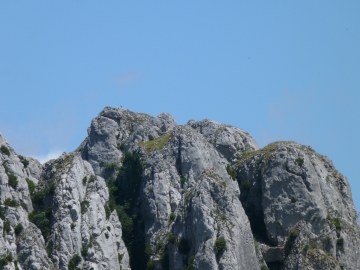 P1160768