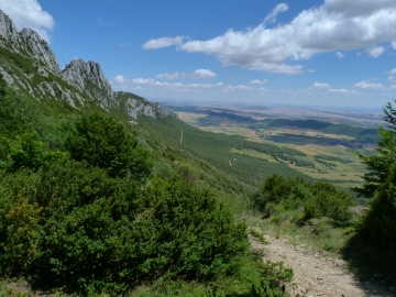 P1160769